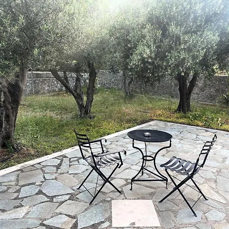 Joseph Apartment